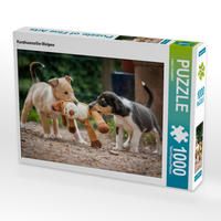 Produktbild: CALVENDO Puzzle Kurzhaarcollie-Welpen 1000 Teile Lege-Gr&ouml;&szlig;e 64 x 48 cm Foto-Puzzle Bild von Laura L&auml;ngsfeld