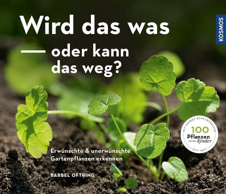 Produktbild: Wird das was oder kann das weg?