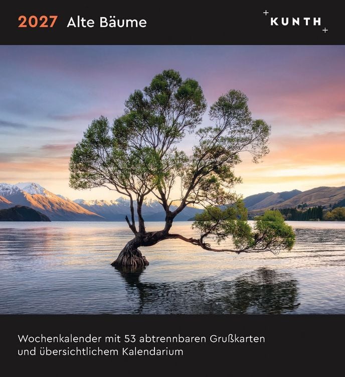 Produktbild: Alte B&auml;ume - KUNTH Postkartenkalender 2027