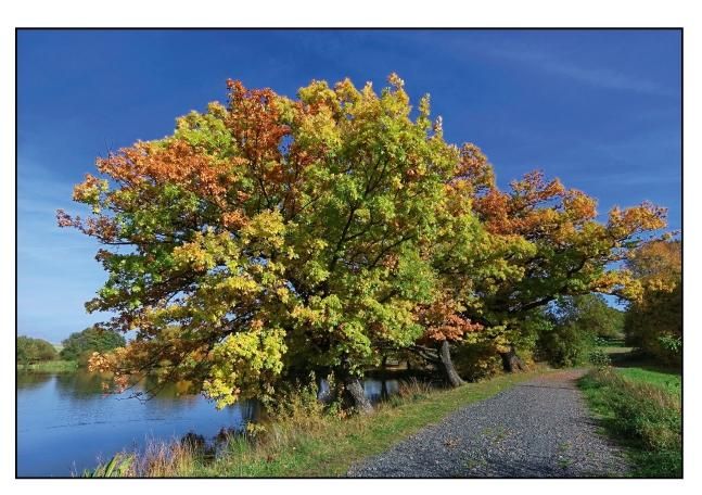Produktbild: Herbstfarben (Tischaufsteller DIN A5 quer)