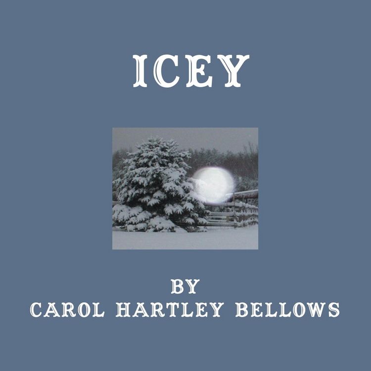Produktbild: Icey