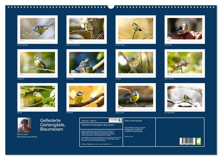 Produktbild: Gefiederte Garteng&auml;ste, Blaumeisen (Wandkalender 2026 DIN A2 quer), CALVENDO Monatskalender