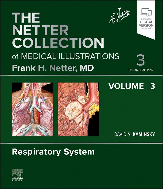 Produktbild: The Netter Collection of Medical Illustrations: Respiratory System, Volume 3