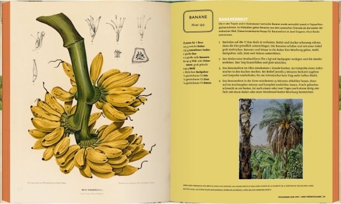 Produktbild: Kew Gardens - Das Kochbuch