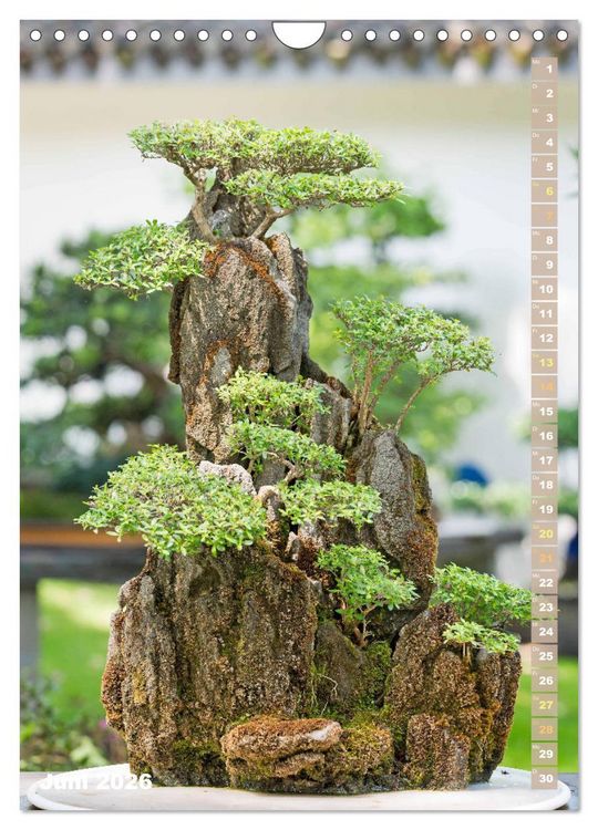 Produktbild: Bonsai: Gartenkunst im Kleinen (Wandkalender 2026 DIN A4 hoch), CALVENDO Monatskalender