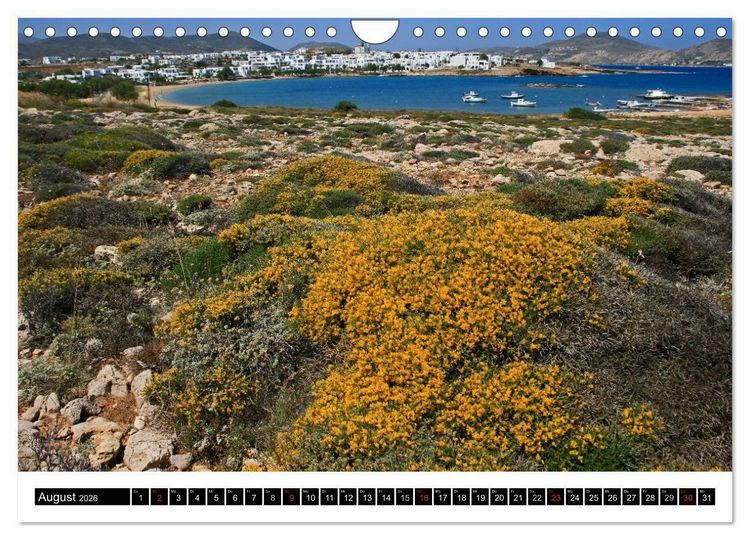 Produktbild: Inselh&uuml;pfen Kykladen Santorini - Naxos - Paros - Mykonos (Wandkalender 2026 DIN A4 quer), CALVENDO Monatskalender