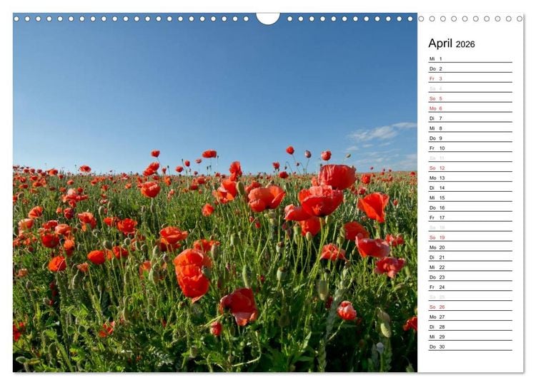 Produktbild: Ein Traum von Mohn (Wandkalender 2026 DIN A3 quer), CALVENDO Monatskalender