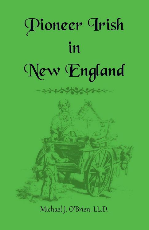 Produktbild: Pioneer Irish in New England