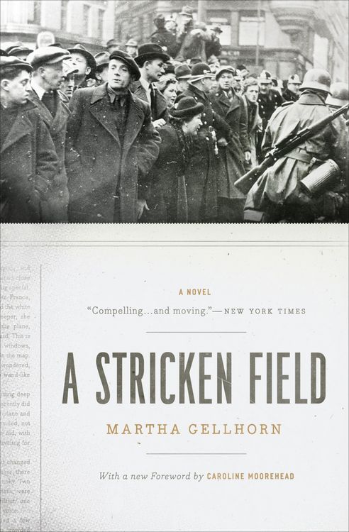 Produktbild: Stricken Field