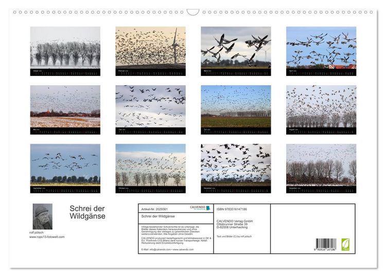 Produktbild: Schrei der Wildg&auml;nse (Wandkalender 2026 DIN A2 quer), CALVENDO Monatskalender