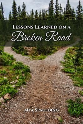 Produktbild: Lessons Learned on a Broken Road