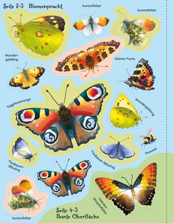 Produktbild: Die gro&szlig;e Sticker-Tierwelt: Schmetterlinge