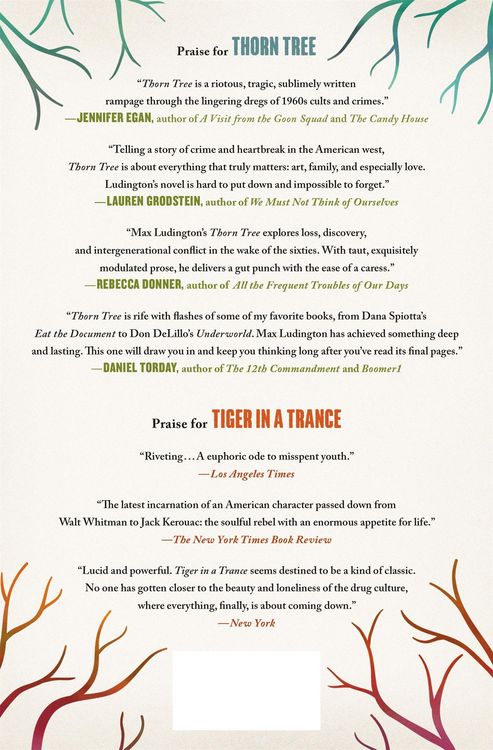 Produktbild: Thorn Tree