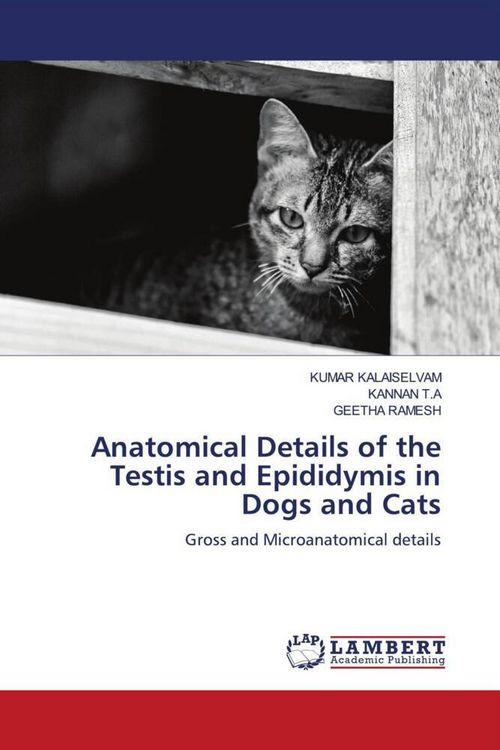 Produktbild: Anatomical Details of the Testis and Epididymis in Dogs and Cats