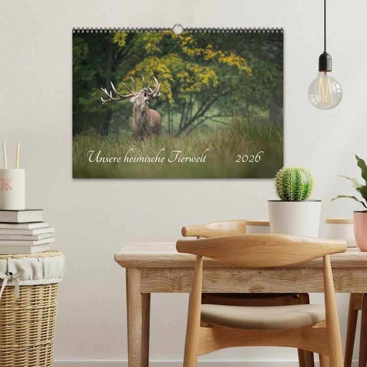 Produktbild: Unsere heimische Tierwelt (Wandkalender 2026 DIN A3 quer), CALVENDO Monatskalender