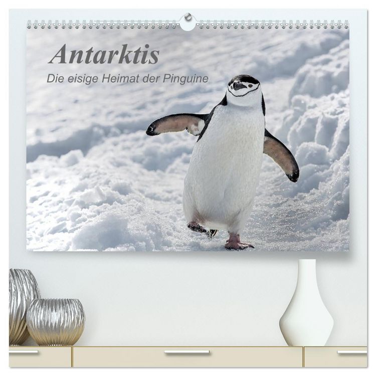 Produktbild: Antarktis, die eisige Heimat der Pinguine (hochwertiger Premium Wandkalender 2026 DIN A2 quer), Kunstdruck in Hochglanz
