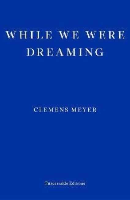 Produktbild: While We Were Dreaming