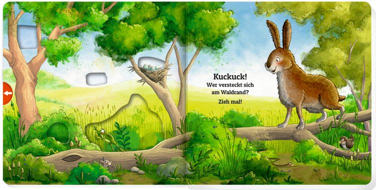 Produktbild: Zieh mal! Kuckuck, es wimmelt im Wald!