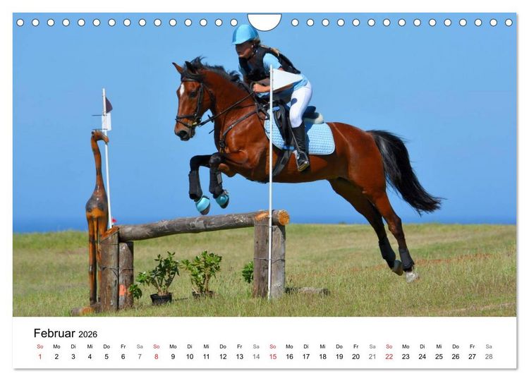Produktbild: Vielseitigkeitsreiten (Wandkalender 2026 DIN A4 quer), CALVENDO Monatskalender