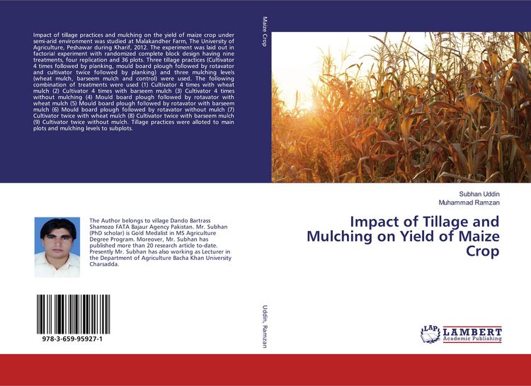 Produktbild: Impact of Tillage and Mulching on Yield of Maize Crop