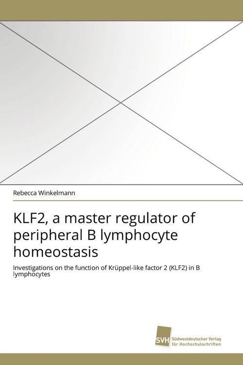 Produktbild: KLF2, a master regulator of peripheral B lymphocyte homeostasis