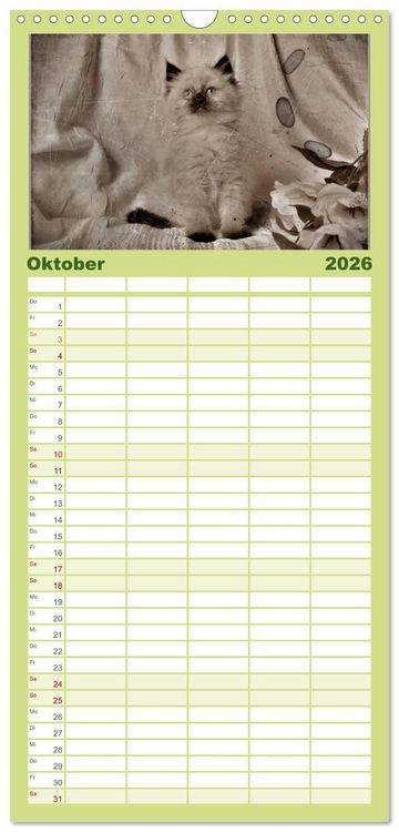 Produktbild: Familienplaner 2026 - Oma's Katzenkalender 2026 mit 5 Spalten (Wandkalender, 21 x 45 cm) CALVENDO