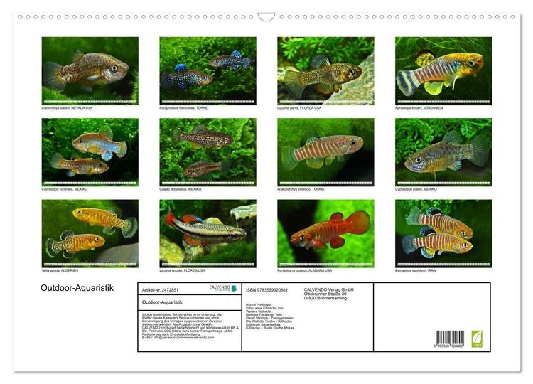 Produktbild: Outdoor-Aquaristik (Wandkalender 2027 DIN A2 quer), CALVENDO Monatskalender