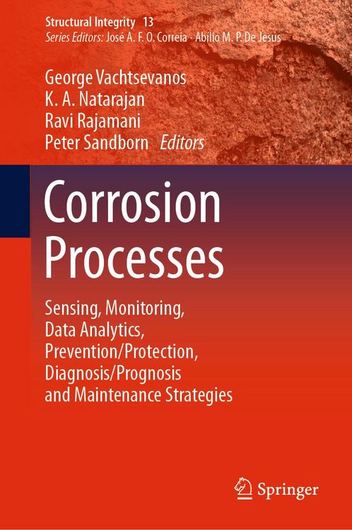 Produktbild: Corrosion Processes