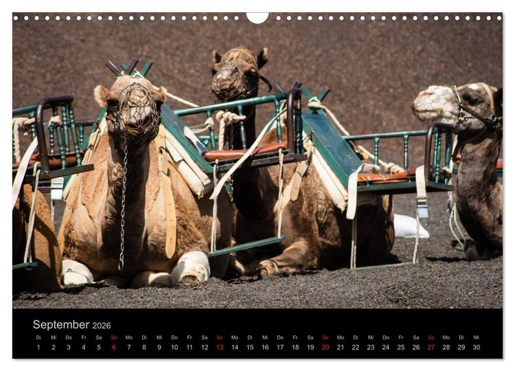 Produktbild: Unterwegs auf Lanzarote (Wandkalender 2026 DIN A3 quer), CALVENDO Monatskalender