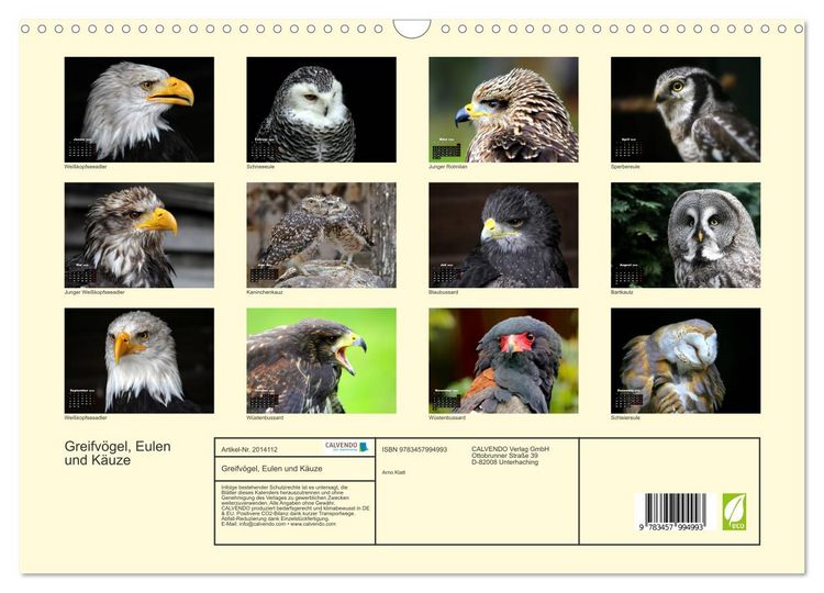 Produktbild: Greifv&ouml;gel, Eulen und K&auml;uze (Wandkalender 2026 DIN A3 quer), CALVENDO Monatskalender