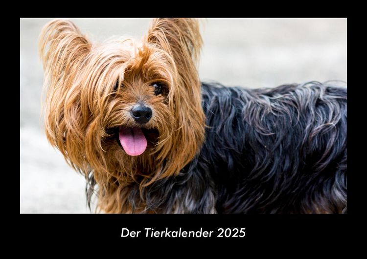 Produktbild: Der Tierkalender 2025 Fotokalender DIN A3