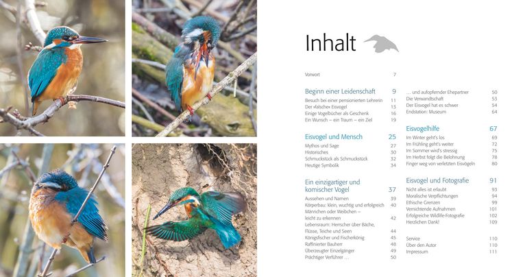 Produktbild: Eisvogel ganz nah