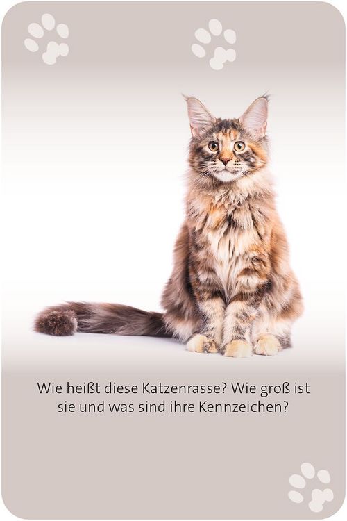 Produktbild: Das gro&szlig;e Katzen Quiz