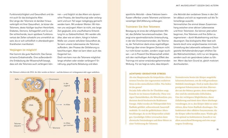 Produktbild: Mit 50 fitter als mit 30