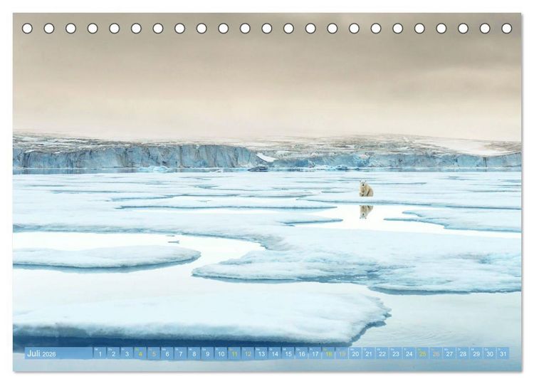 Produktbild: Eisb&auml;ren: Lebensk&uuml;nstler im Eis (Tischkalender 2026 DIN A5 quer), CALVENDO Monatskalender