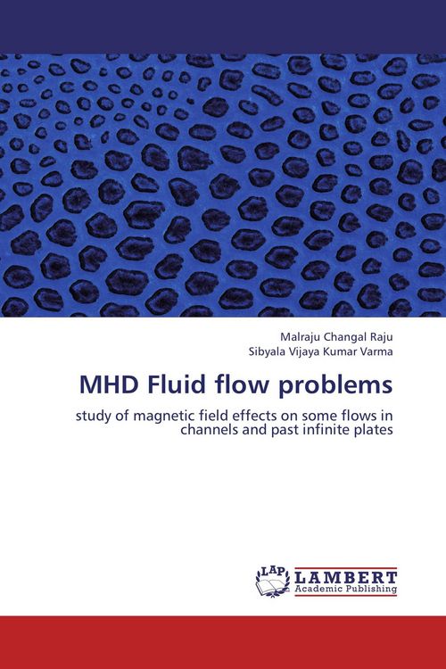 Produktbild: MHD Fluid flow problems