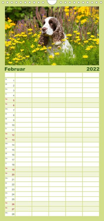 Produktbild: Familienplaner English Cocker Spaniel - Fr&ouml;hliche Gesellen (Wandkalender 2022 , 21 cm x 45 cm, hoch)