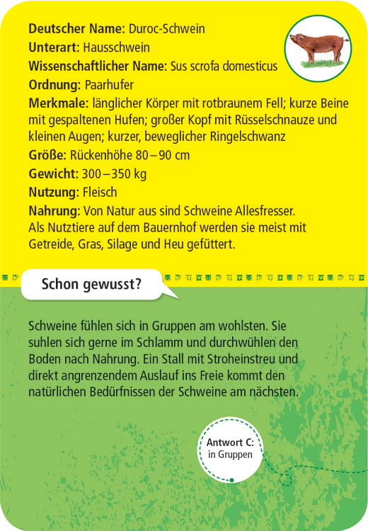 Produktbild: 50 Tiere auf dem Bauernhof