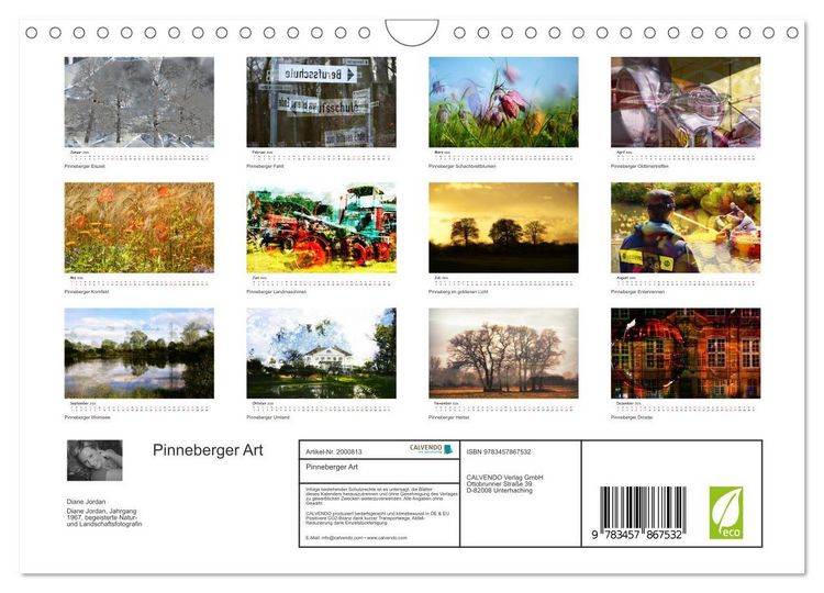 Produktbild: Pinneberger Art (Wandkalender 2026 DIN A4 quer), CALVENDO Monatskalender
