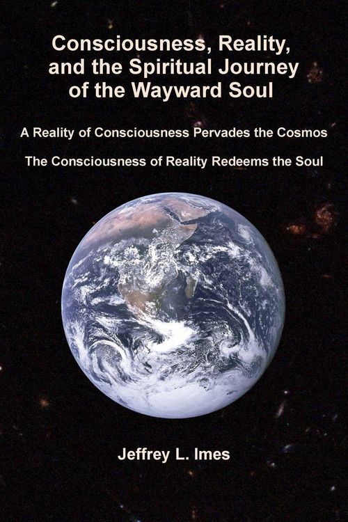 Produktbild: Consciousness, Reality, and the Spiritual Journey of the Wayward Soul