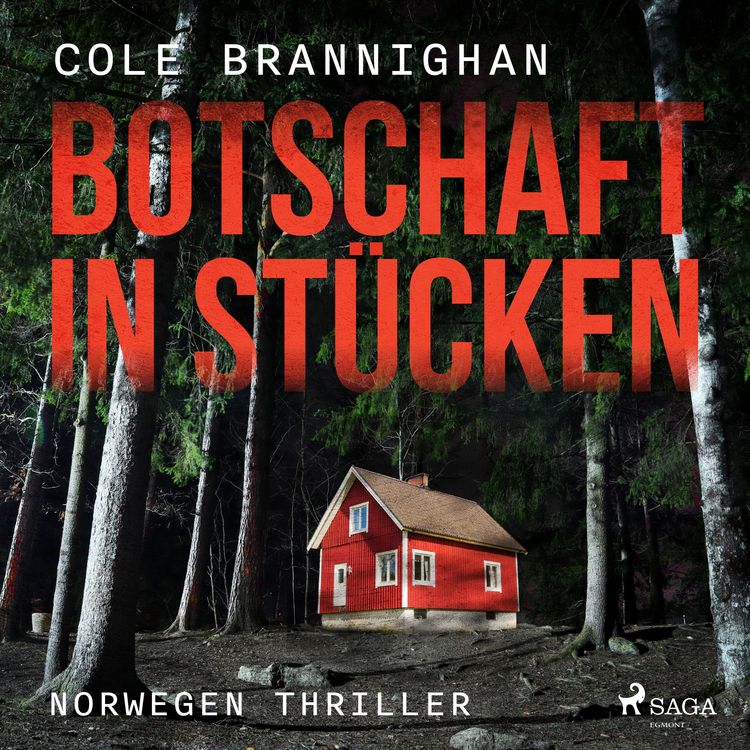 Produktbild: Botschaft in St&uuml;cken: Norwegen-Thriller