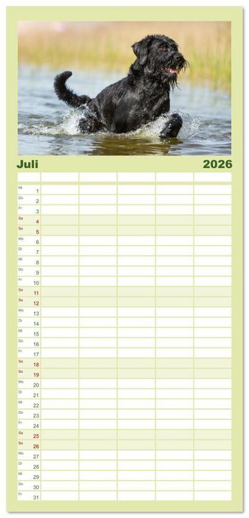 Produktbild: Familienplaner 2026 - Mit dem Riesenschnauzer durch das Jahr mit 5 Spalten (Wandkalender, 21 x 45 cm) CALVENDO