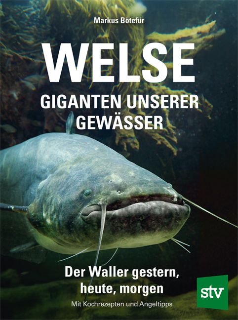 Produktbild: Welse - Giganten unserer Gew&auml;sser