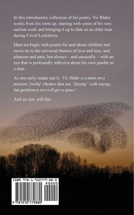 Produktbild: Murmurations