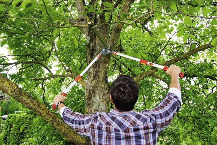 Produktbild: WOLF-Garten 73BGA009650 POWER CUT RS 900 T Premium Plus Astschere Amboss