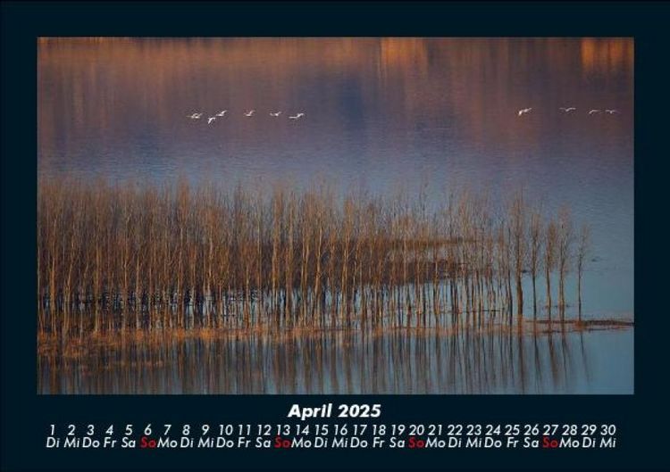 Produktbild: Landschaftskalender 2025 Fotokalender DIN A5