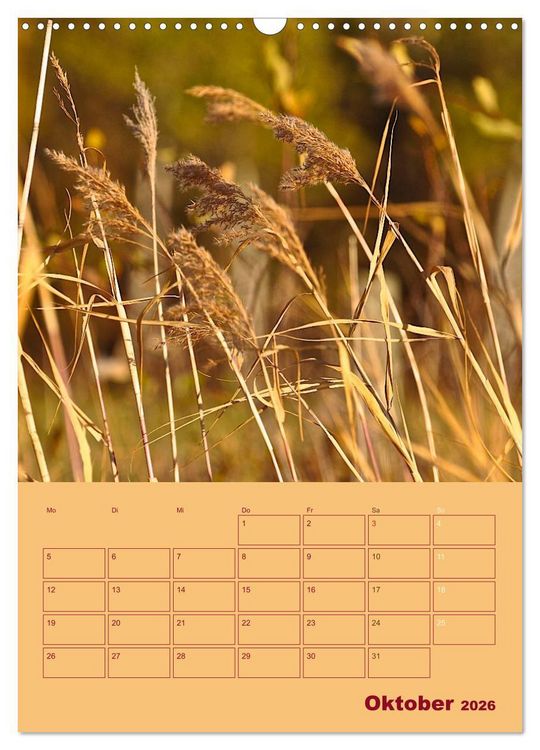 Produktbild: Wald- und Wiesenkalender 2026 Planer (Wandkalender 2026 DIN A3 hoch), CALVENDO Monatskalender