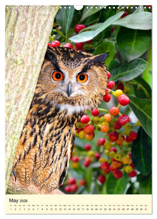 Produktbild: Shy forest birds (Wall Calendar 2026 DIN A3 portrait), CALVENDO 12 Month Wall Calendar