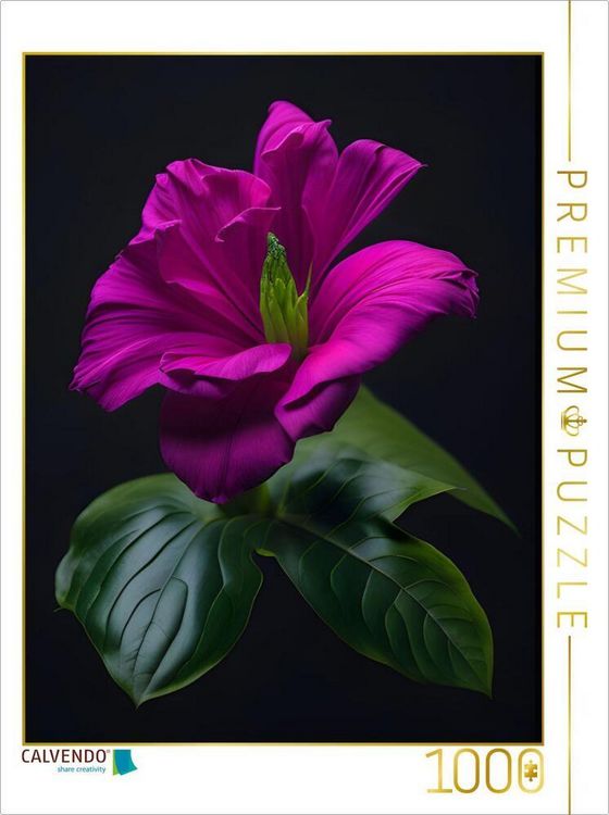 Produktbild: CALVENDO Puzzle Traum in Magenta | 1000 Teile Lege-Gr&ouml;&szlig;e 64x48cm Foto-Puzzle f&uuml;r gl&uuml;ckliche Stunden