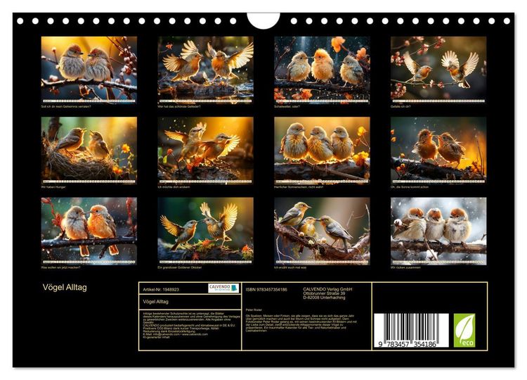 Produktbild: V&ouml;gel Alltag (Wandkalender 2026 DIN A4 quer), CALVENDO Monatskalender
